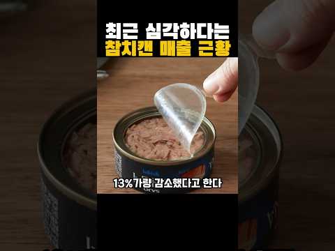 참치캔 많이 구매하시나요?