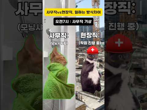 사무직vs현장직