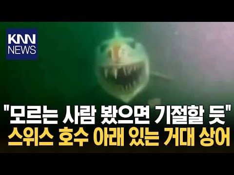 호수 안으로 다이빙 했는데...