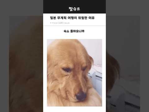 완벽한 계획표 여행 vs 무계획 즉흥 여행